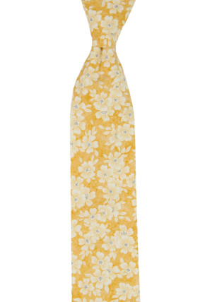 AFFECTIONATE YELLOW børneslips medium