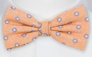 AGOGO ORANGE butterfly