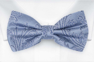 AISLEWALKER Dusty blue butterfly