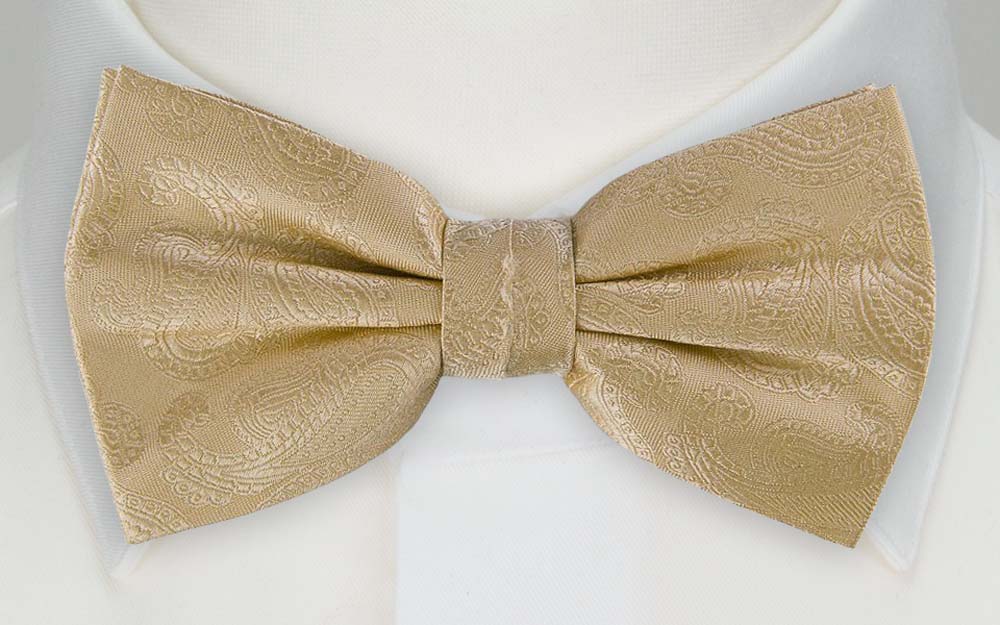 BRUD CHAMPAGNE butterfly
