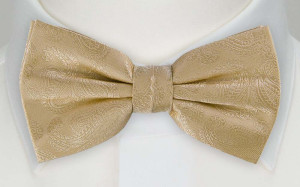 BRUD CHAMPAGNE butterfly