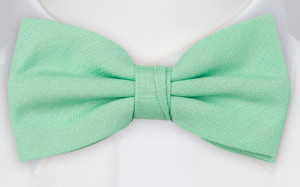 BASKETVEIL Mint butterfly