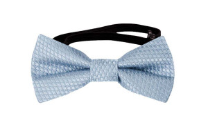 BIRDSEYE Dusty blue babybutterfly