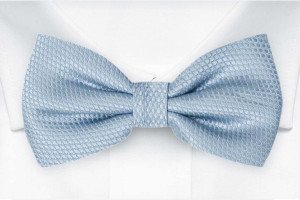 BIRDSEYE Dusty blue butterfly