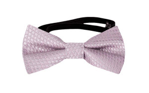 BIRDSEYE Dusty purple babybutterfly