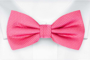 BIRDSEYE Hot pink butterfly