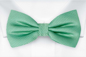 BIRDSEYE Seafoam turquoise butterfly