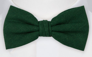 BITTERSWEET Dark green butterfly