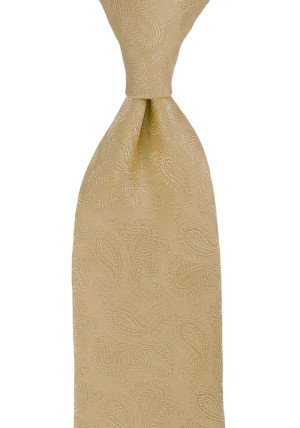 BRUD CHAMPAGNE klassisk slips