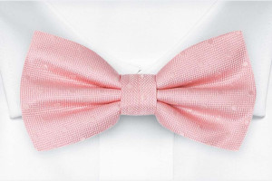 BRUDGUM Pale pink butterfly