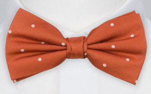 CHIPPER ORANGE butterfly