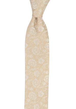ENCHANTMENT CHAMPAGNE børneslips medium