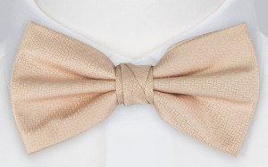 Espousal Champagne Pink butterfly