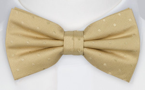BRUDGUM CHAMPAGNE butterfly