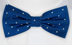 FESTLIG COBALT butterfly