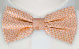 FIRA APRICOT butterfly