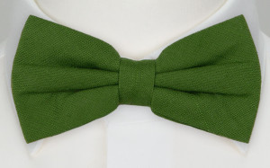 BASKETVEIL Green butterfly