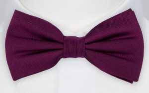 DIGGIDY AUBERGINE butterfly