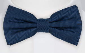 DRUMMEL Navy blue butterfly