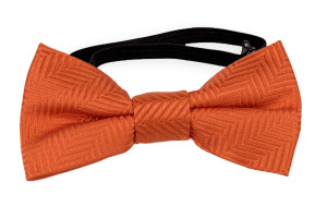 DRUMMEL Orange babybutterfly