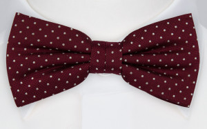 HAGELSTORM BURGUNDY butterfly