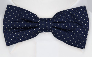 HAGELSTORM NAVY BLUE butterfly