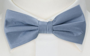 SOLID Light blue butterfly