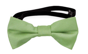 SOLID Light green babybutterfly