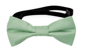 SOLID Pastel green babybutterfly