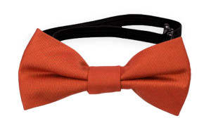 SOLID Rusty Orange babybutterfly