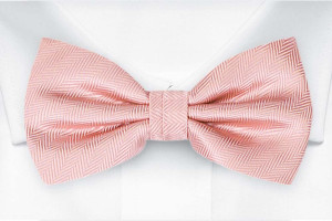 JAGGED Blush pink butterfly