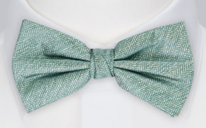 LAWRENCE GREEN butterfly