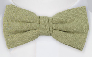 MOREAMORE Sage green butterfly