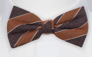 NICENESS BROWN butterfly