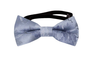PROPOSAL Dusty blue babybutterfly