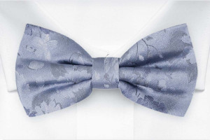 PROPOSAL Dusty blue butterfly