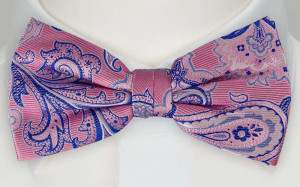 RUPERT butterfly