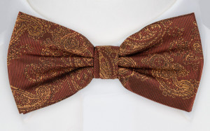 RAJRAJ CINNAMON butterfly