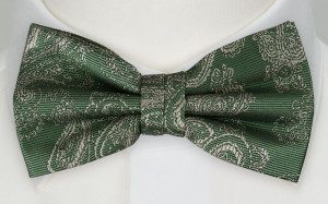 RAJRAJ GREEN butterfly