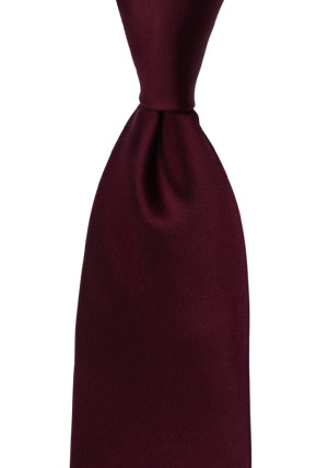 SATIN BURGUNDY slips