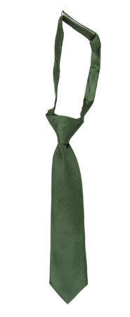 SATIN DARK SAGE børneslips lille forbundet