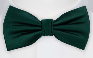 SATIN FOREST GREEN butterfly