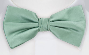SATIN GREYED JADE butterfly