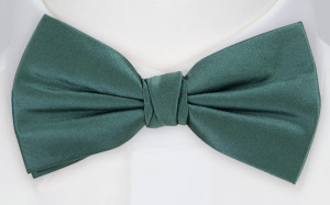 SATIN JUNIPER GREEN butterfly