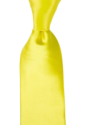 SATIN LEMON slips