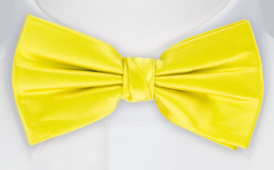 SATIN LEMON butterfly