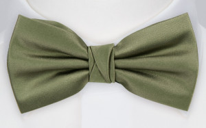 SATIN MOSS GREEN butterfly