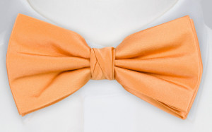 SATIN PEACH butterfly
