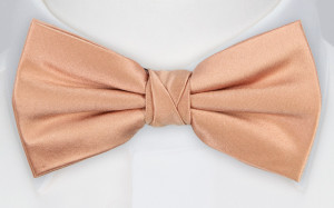 Satin Peach Pink butterfly