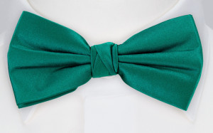 SATIN PERSIAN GREEN butterfly